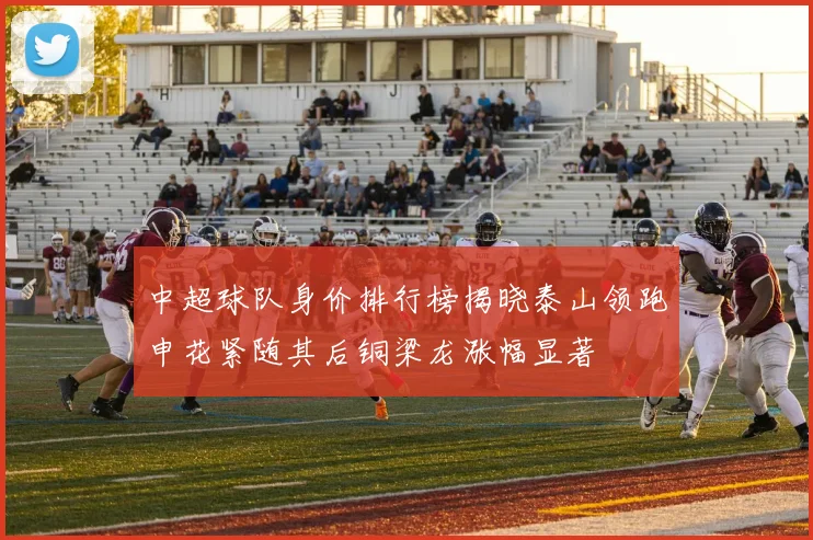 中超球队身价排行榜揭晓泰山领跑申花紧随其后铜梁龙涨幅显著