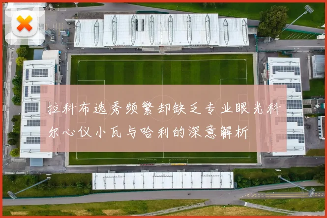 拉科布选秀频繁却缺乏专业眼光科尔心仪小瓦与哈利的深意解析